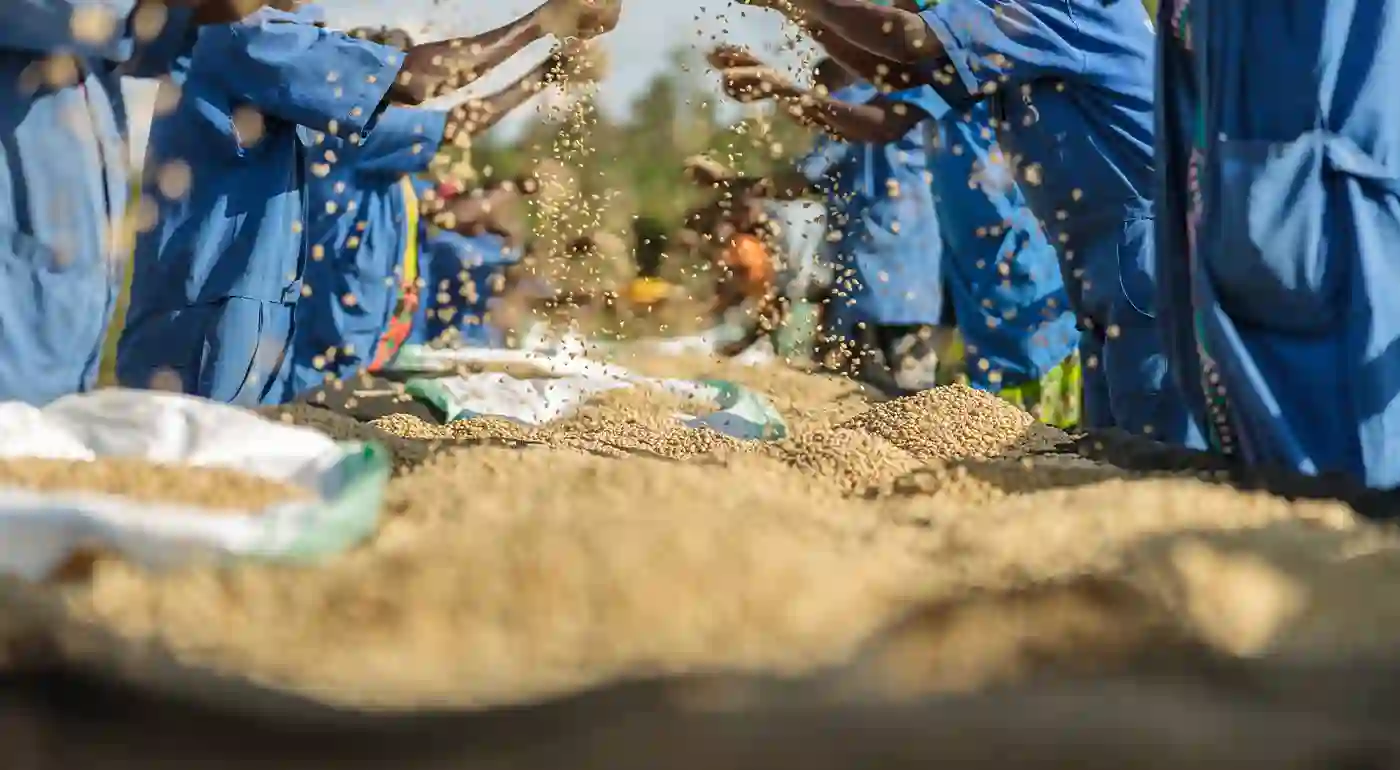 Humanitarian Action